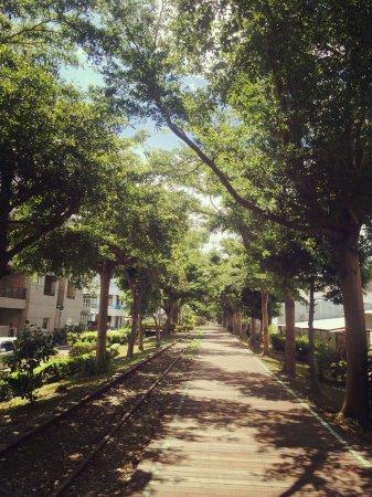 Cheela Cafe & Bakery